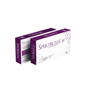 Home Spektrum Cat