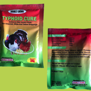 Typhoid Cure