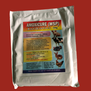 Amoxicure (WSP)