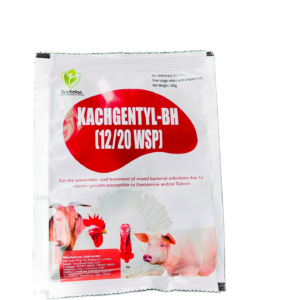 Kachgentyl-BH ( 12/20 WSP)